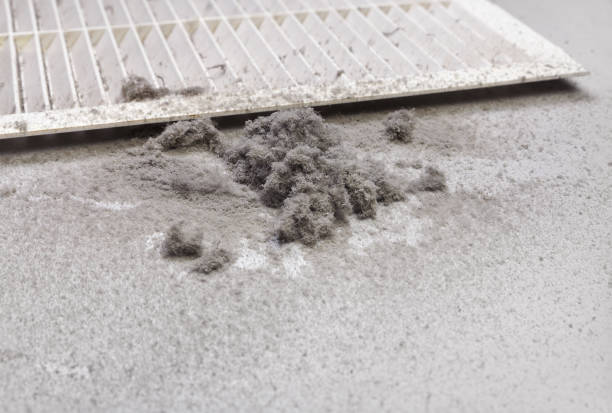 Best Affordable Duct Cleaning Services  in Yorktown, TX