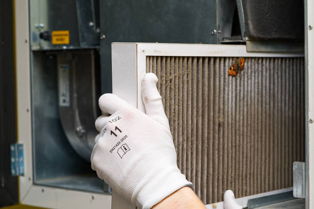 Best Air Quality Test  in Yorktown, TX