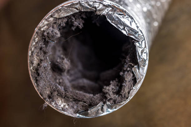 Best Best Air Duct Cleaning Company  in Yorktown, TX